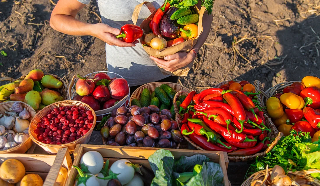 Eat Organic, Live Healthy: The Benefits of Organic Produce