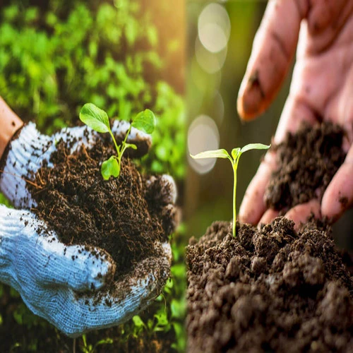 Organic & Natural Farming