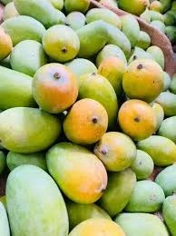 Fresh Ripe Mango Fruit
